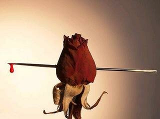 CUANDO LLEGUES A AMAR SEGUNDA ESTROFA