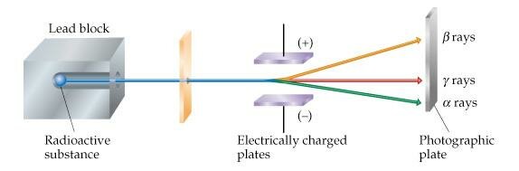 Rutherford discovered alpha, beta, and gamma rays in radiation