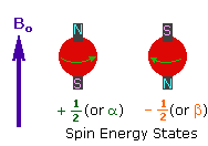 Presence of Electron spin quantum number was proposed