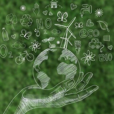 Timeline: Historia de la Educación Ambiental,