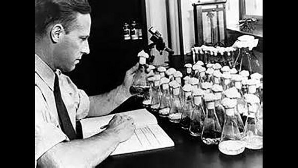 Alta venta de penicilina