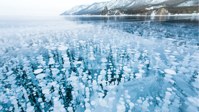 Trigésimo Primero Evento