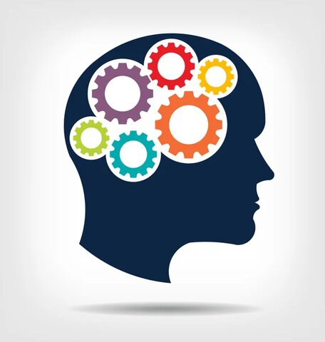 Stocks de conocimiento,  terminología de March (1991)