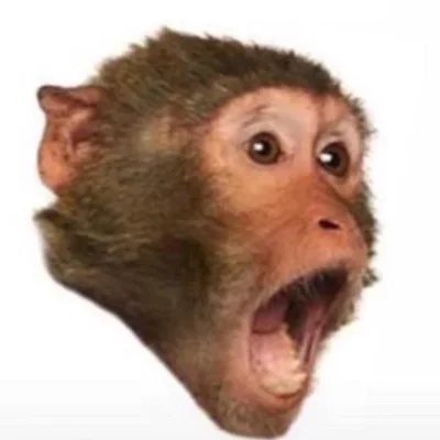 Timeline: Who/What roamed the earth before us?