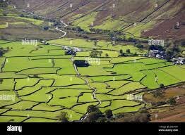 Negativo: la ley de cercamiento.