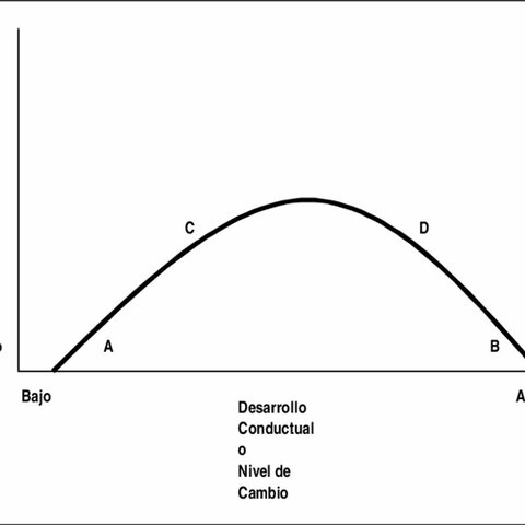 Definición por Fiol y Lyles
