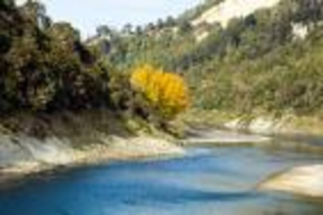 Whanganui river