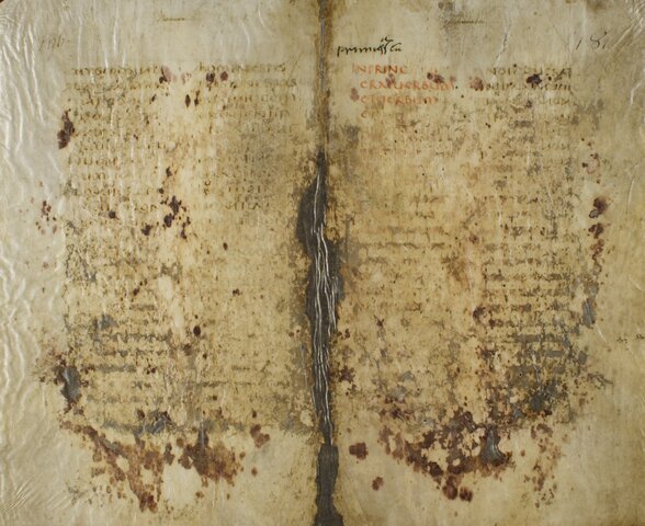 Codex Vercellensis (seconda metà IV sec.)
