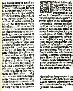 Tirant lo Blanc i Curial e Güelfa