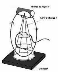 Séptima Generación