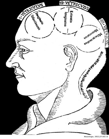 San Alberto Magno y la Teoría Ventricular. Siglo XIII
