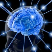 Avances En La Neuropsicología