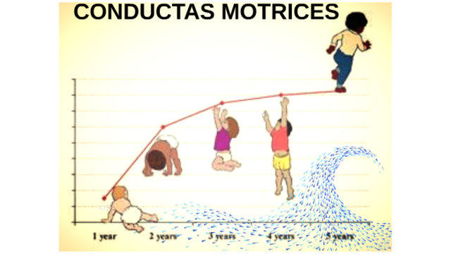 Pedagogía de las conductas motrices