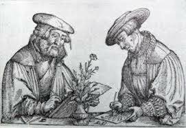 PLINIO Y GALENO 113 d,c