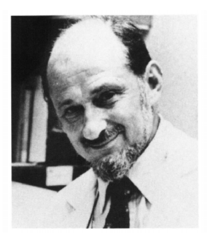 Enfoque Conexionista