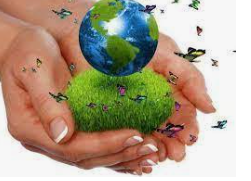 creación de lineamientos de control sanitario en Colombia