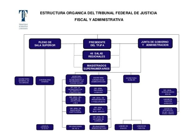Actual estructura orgánica
