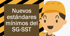 Definición de estándares mínimos de SG-SST