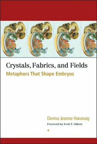 "Crystals, Fabrics and Fields"