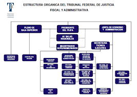 Actual Organigrama del TJFFA