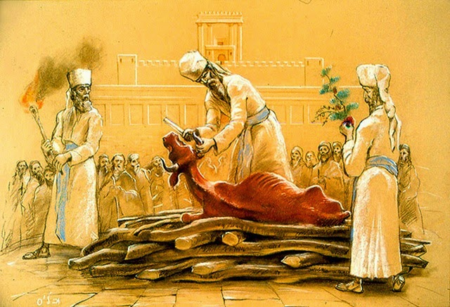 Aarón hace su primer sacrificio