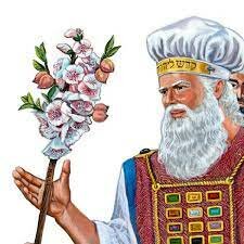 Florecimiento de la vara de Arón