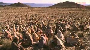 Se nombran los primeros jueces