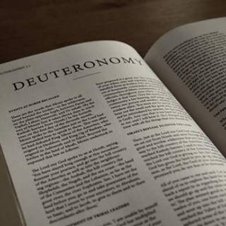 DEUTERONOMIO