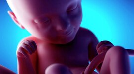 Timeline: Preparació per a la gestació