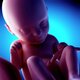 Human fetus at week 33 of gestation sebastian kaulitzkiscience photo library