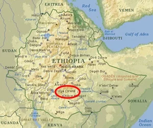 Primera arma biológica rústica