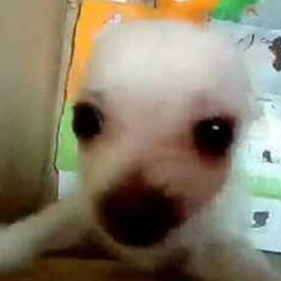 Timeline: Reís Espanya