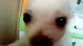 Timeline: Reís Espanya