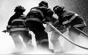 Familia profissional