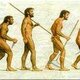 Evolució humana