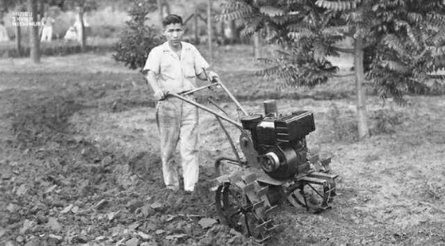 Teste de Máquina de resolver terra