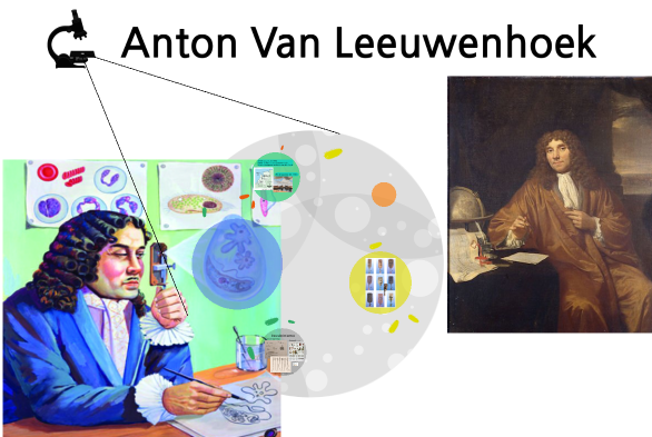 Anton van Leeuwenhoek