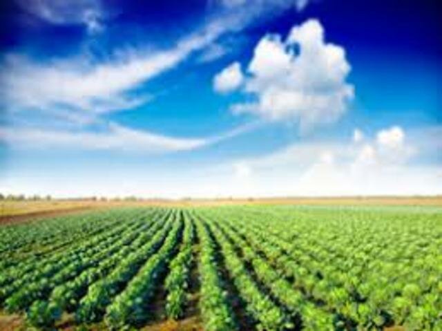 Primer intento de reforma agraria en Colombia