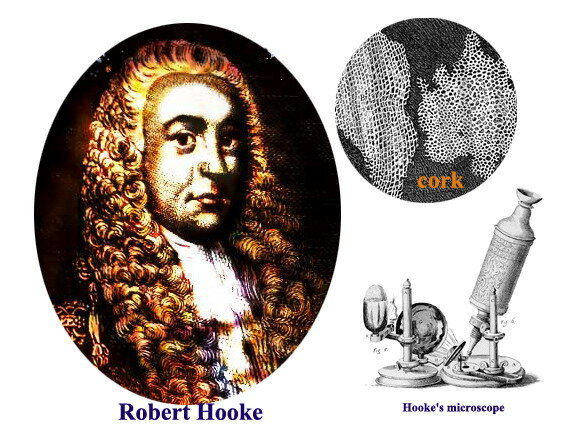 Robert Hooke