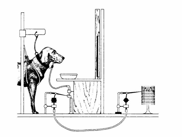 primeros experimentos
