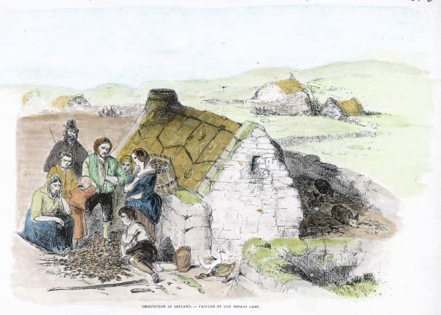 The potato famine