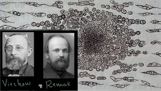 Rudolf Virchow y Robert Remak