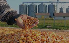 Control de precios de los granos