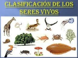 Clasificación de los seres vivos