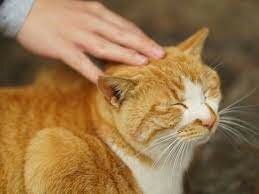 Primer acercamiento con la ciencia.