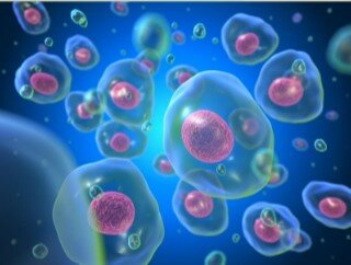 Teoría Celular Robert Hooke