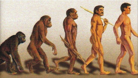 Teorías de la Evolución Charles Darwin