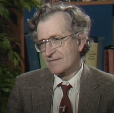 Discussion of Linguistic Nativism