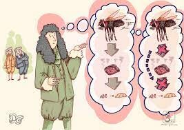 Refutación de la teoría de la generación espontanea