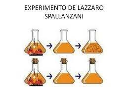 Segunda refutación de la generación espontanea